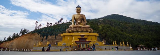 raimond-klavins-lHfPWkvtJRg-unsplash (2) (1)