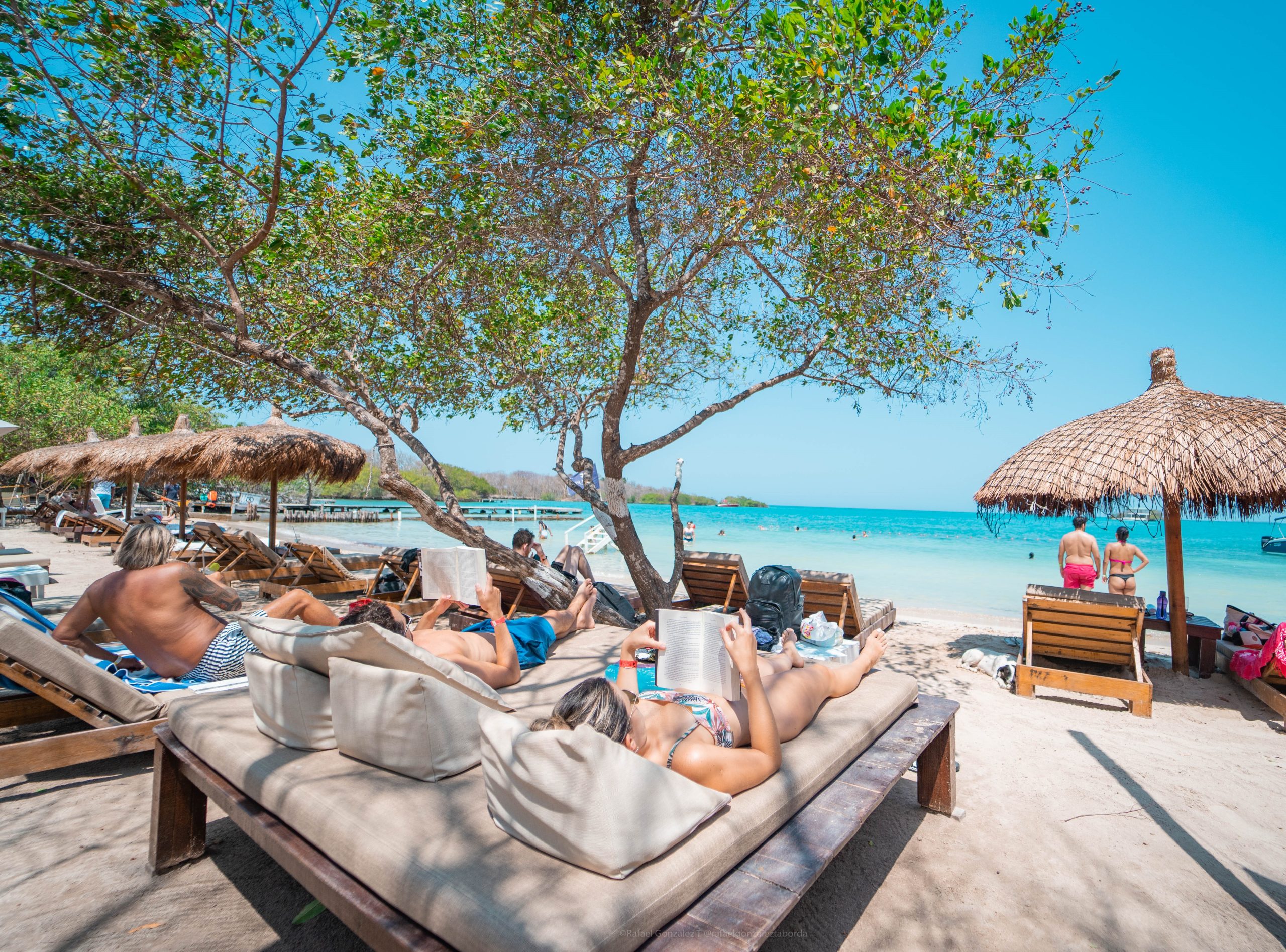 IslaBela Adultos - Imagen 10