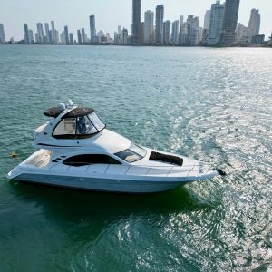 Yate de 42 Feet