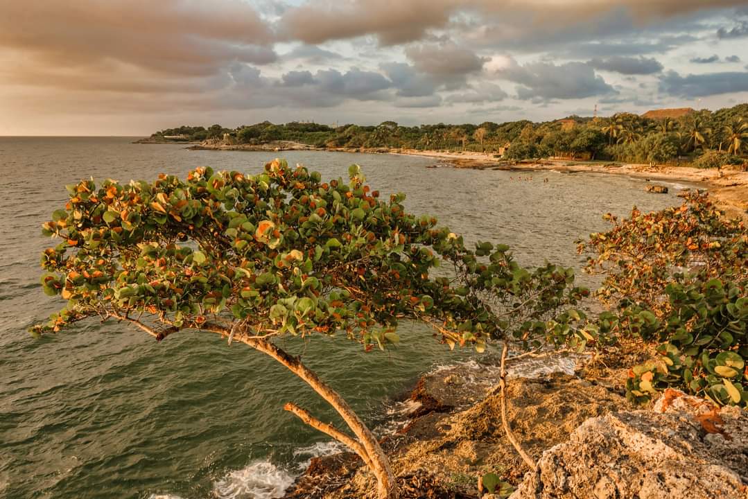 Castillete Beach - Imagen 10