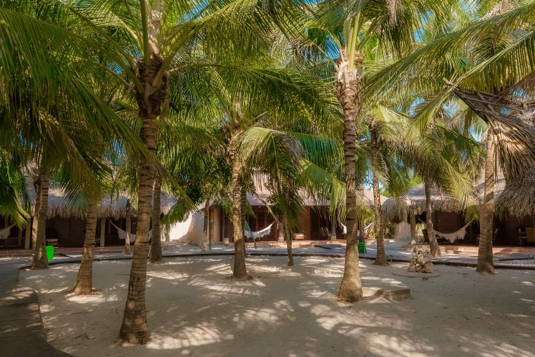 Castillete Beach - Imagen 3