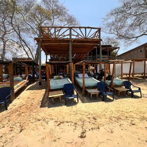 Pasadia Carey Terrestre