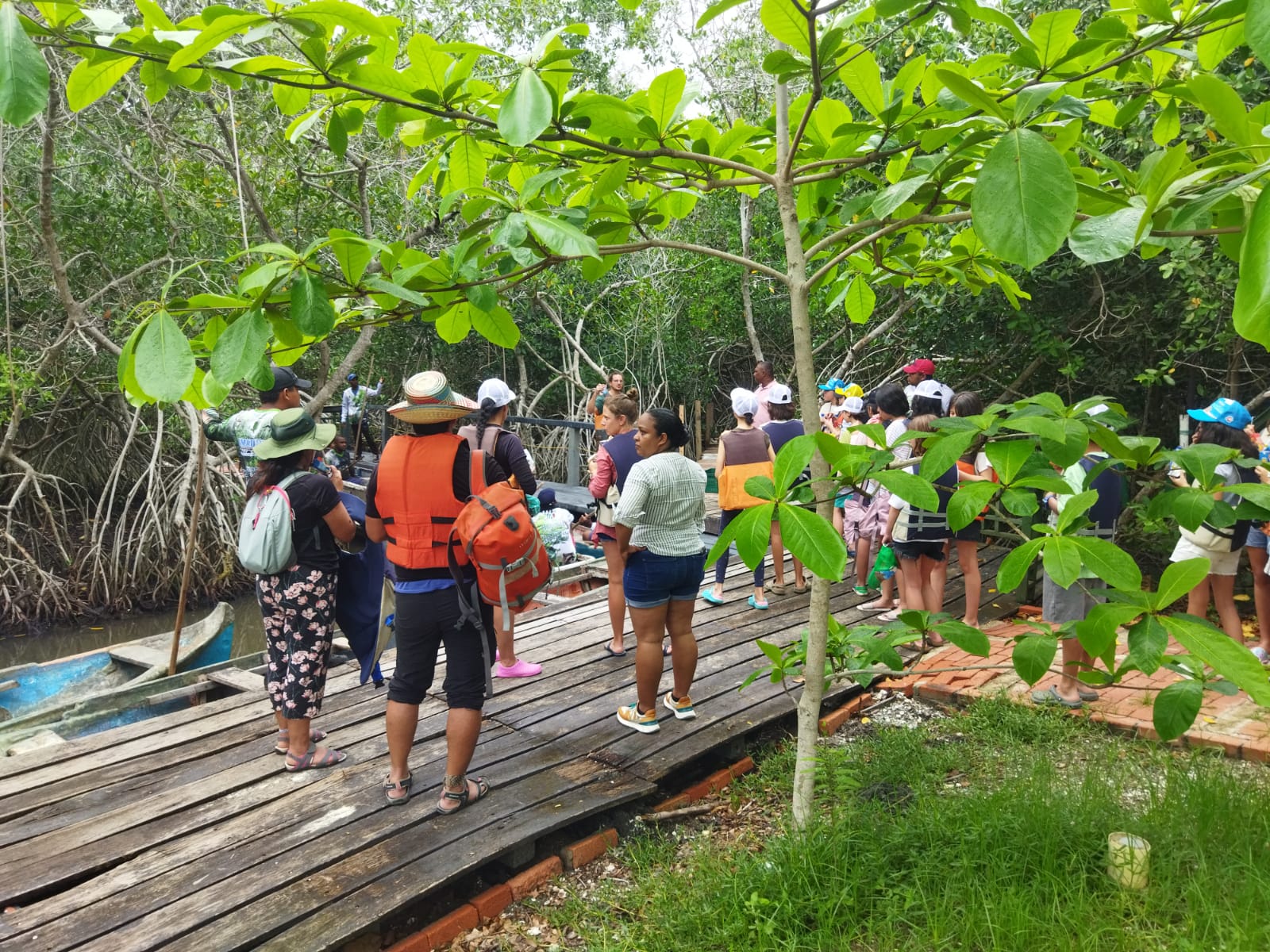 Plan Caribeño Adultos - Imagen 5