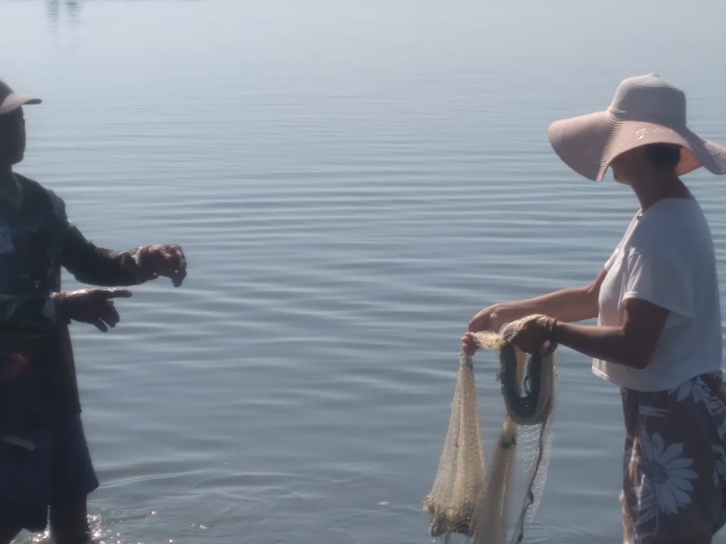 Plan Caribeño Adultos - Imagen 3