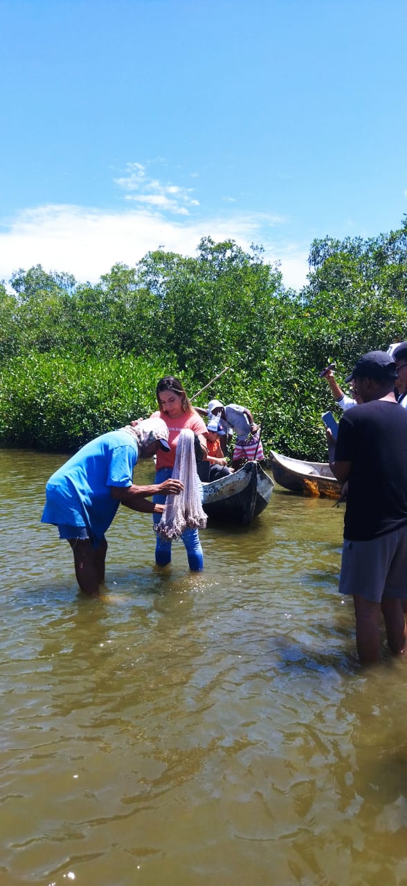 Plan Caribeño Adultos