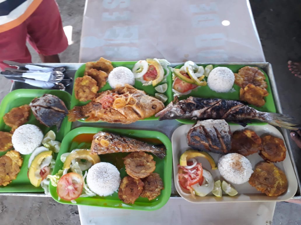 Plan Caribeño Adultos - Imagen 9