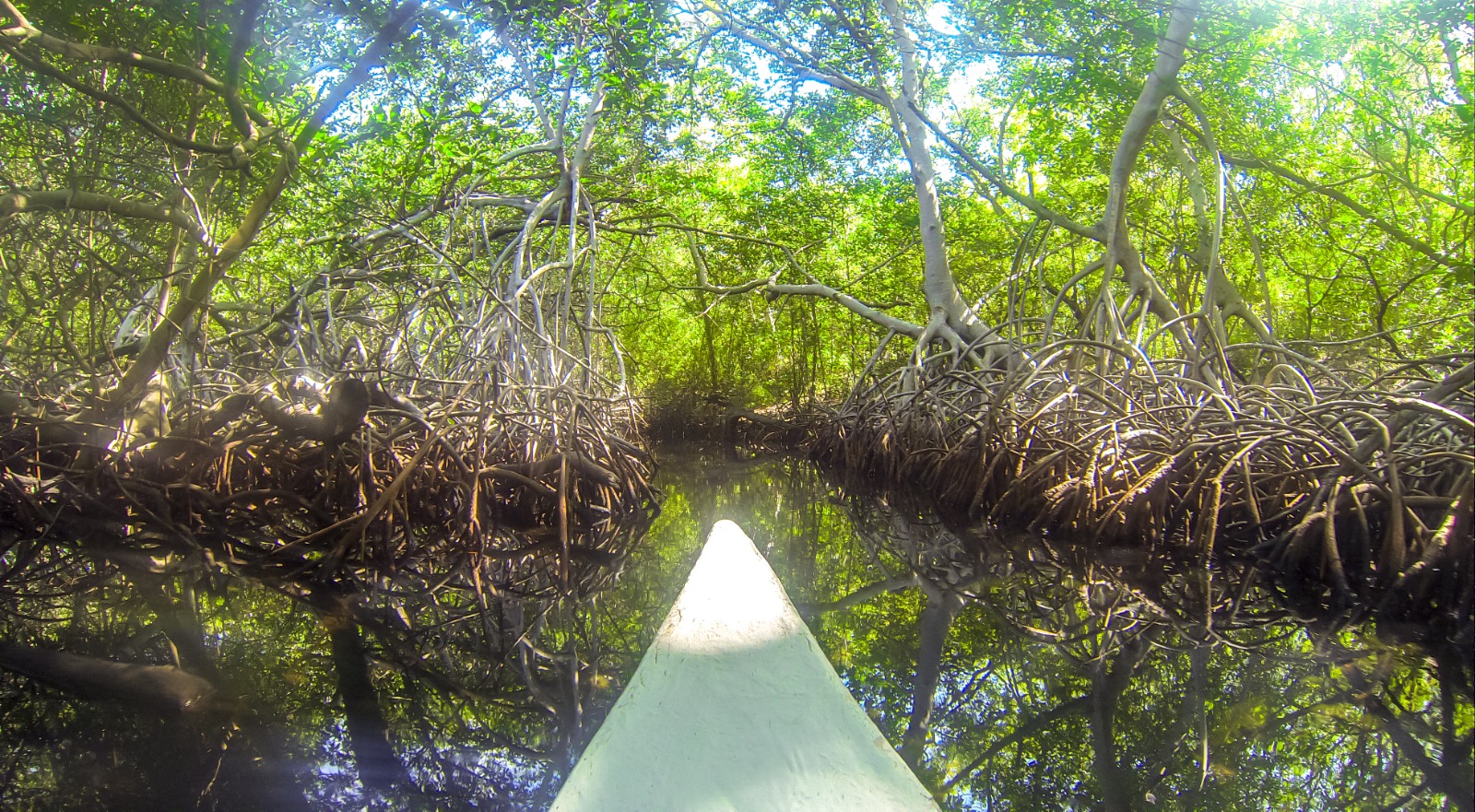 San Pedro de Majagua Plan Premium - Imagen 14