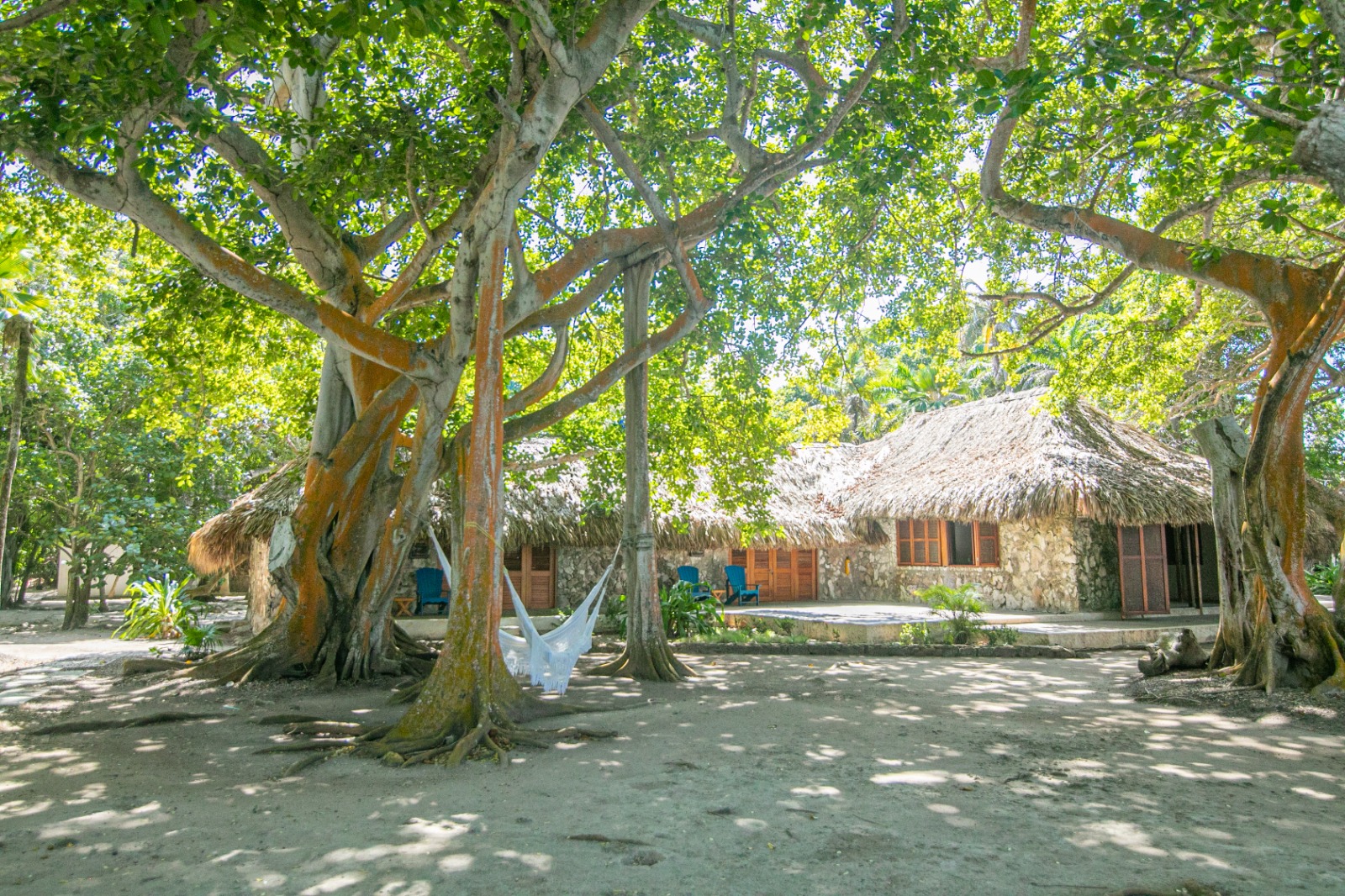 San Pedro de Majagua Plan Gold - Imagen 17