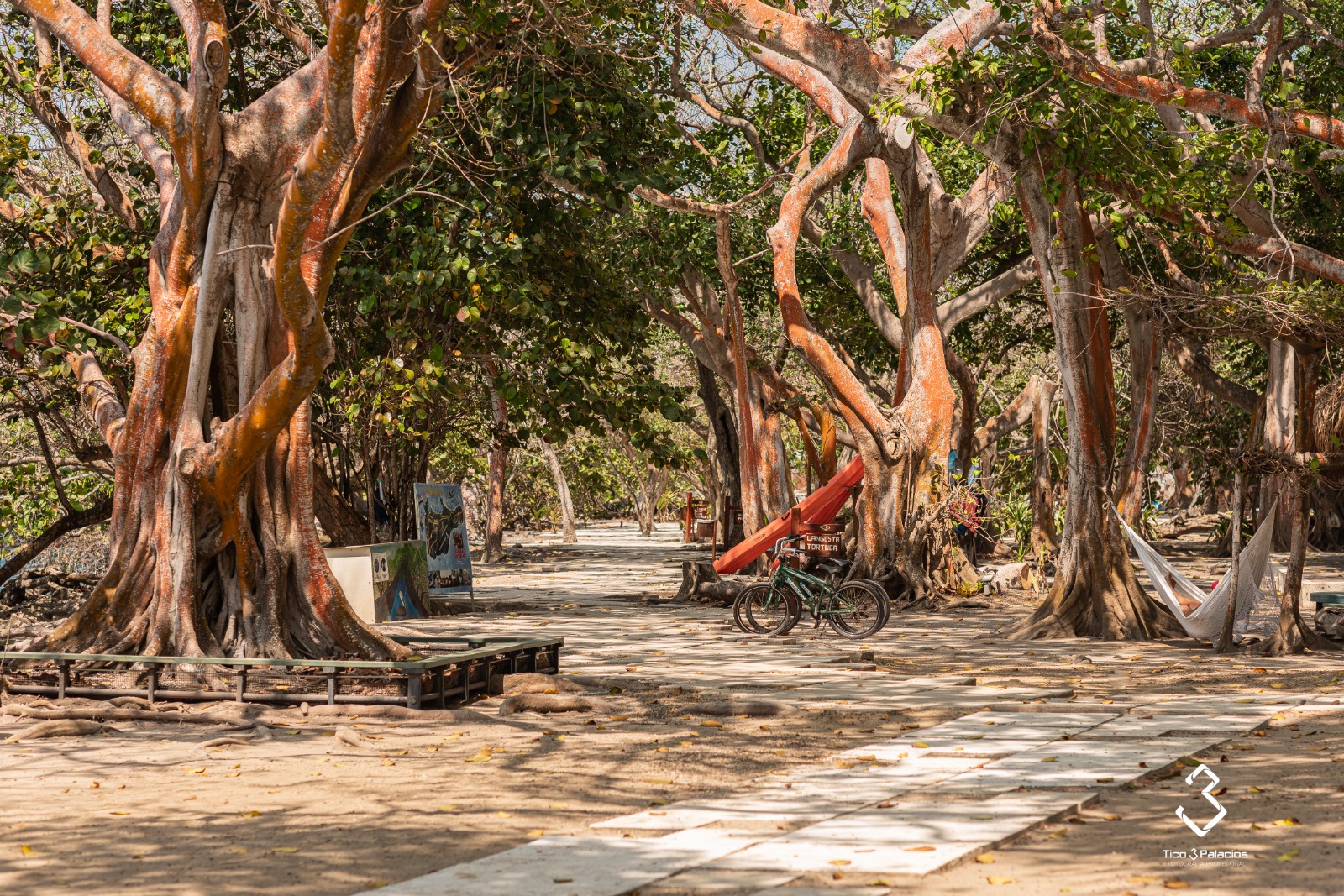 San Pedro de Majagua Plan Gold - Imagen 18