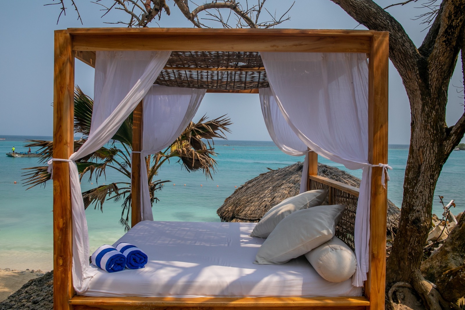 San Pedro de Majagua Plan Premium - Imagen 15