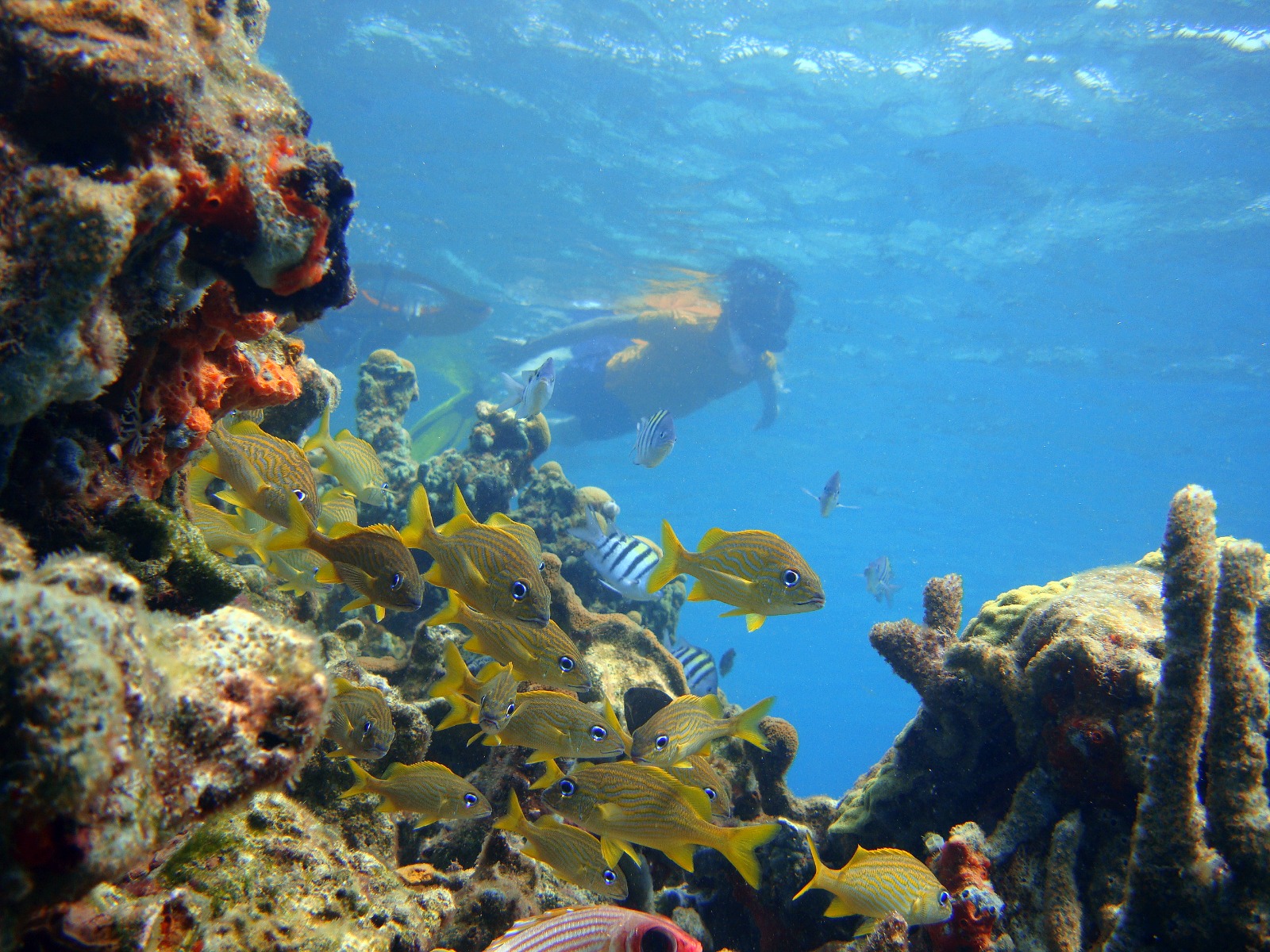 San Pedro de Majagua Plan Gold - Imagen 3