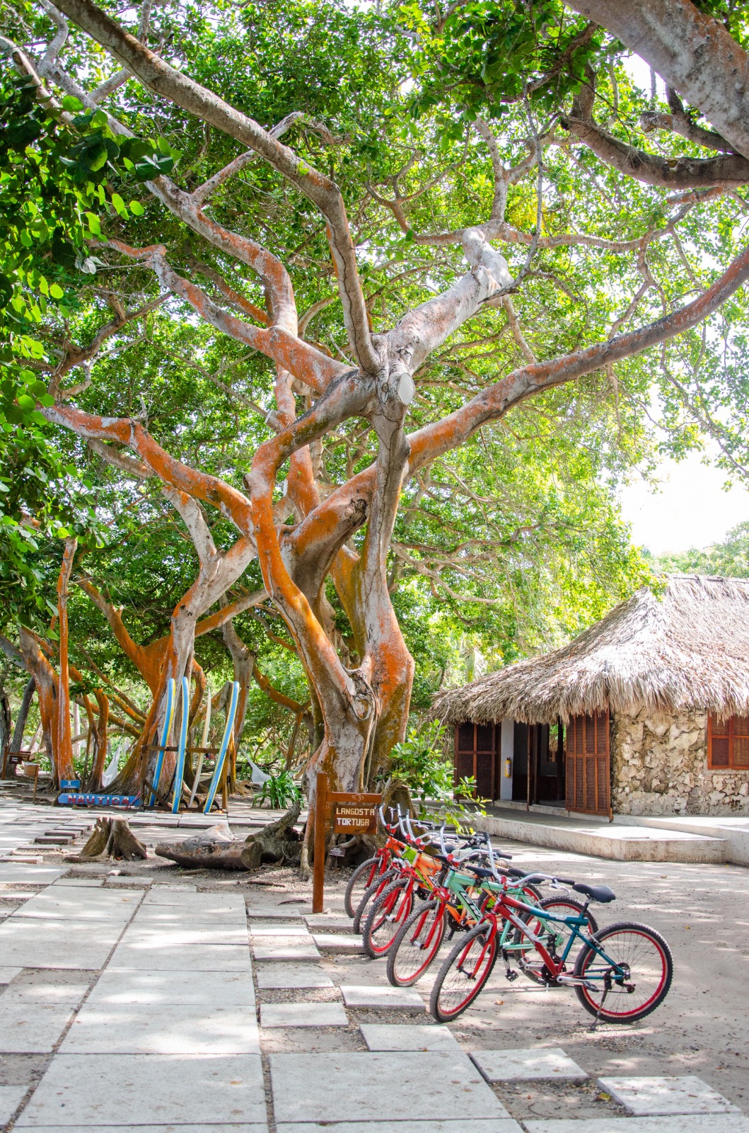 San Pedro de Majagua Plan Premium - Imagen 13