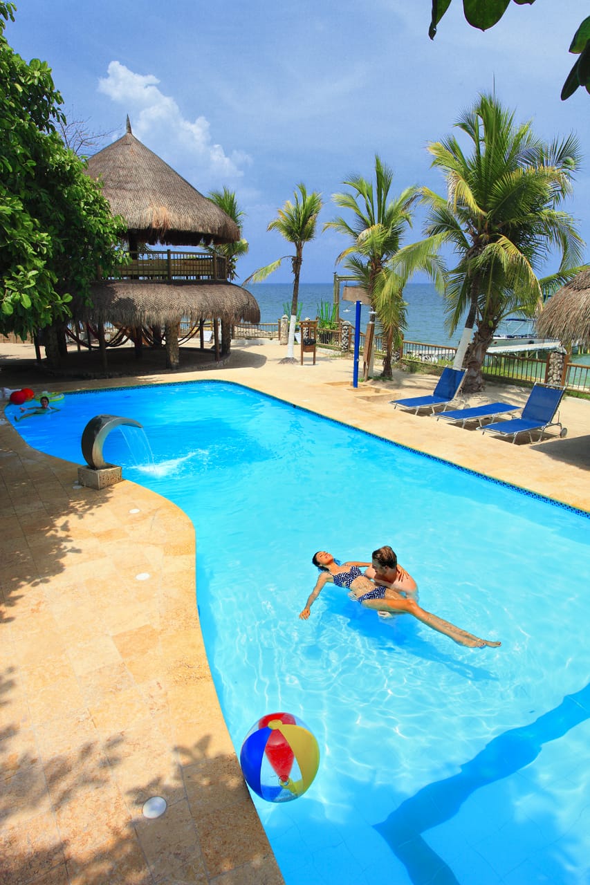 Isla del Encanto Acuario Adultos - Imagen 4