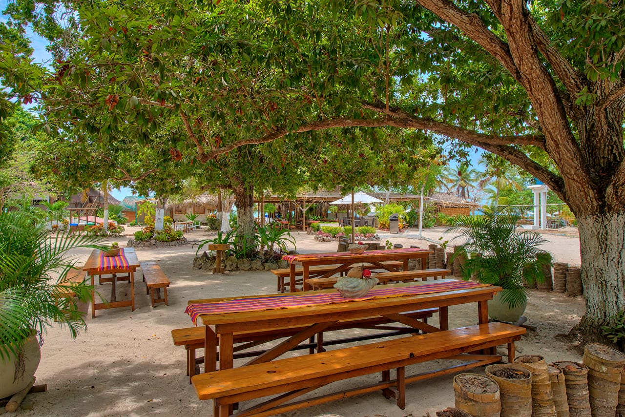 Isla del Encanto Acuario Adultos - Imagen 3