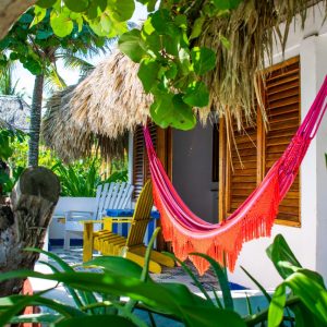 Isla del pirata Premium