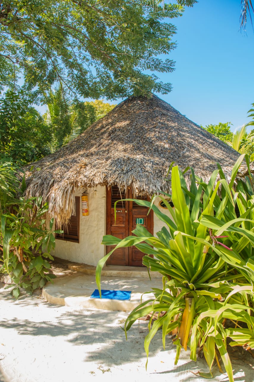 Isla del pirata Premium - Imagen 10