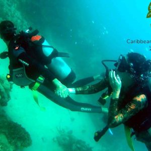 BUCEO BARCO HUNDIDOS TERRESTRE