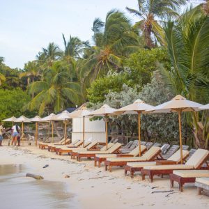 Full Day Cocotera Open Bar