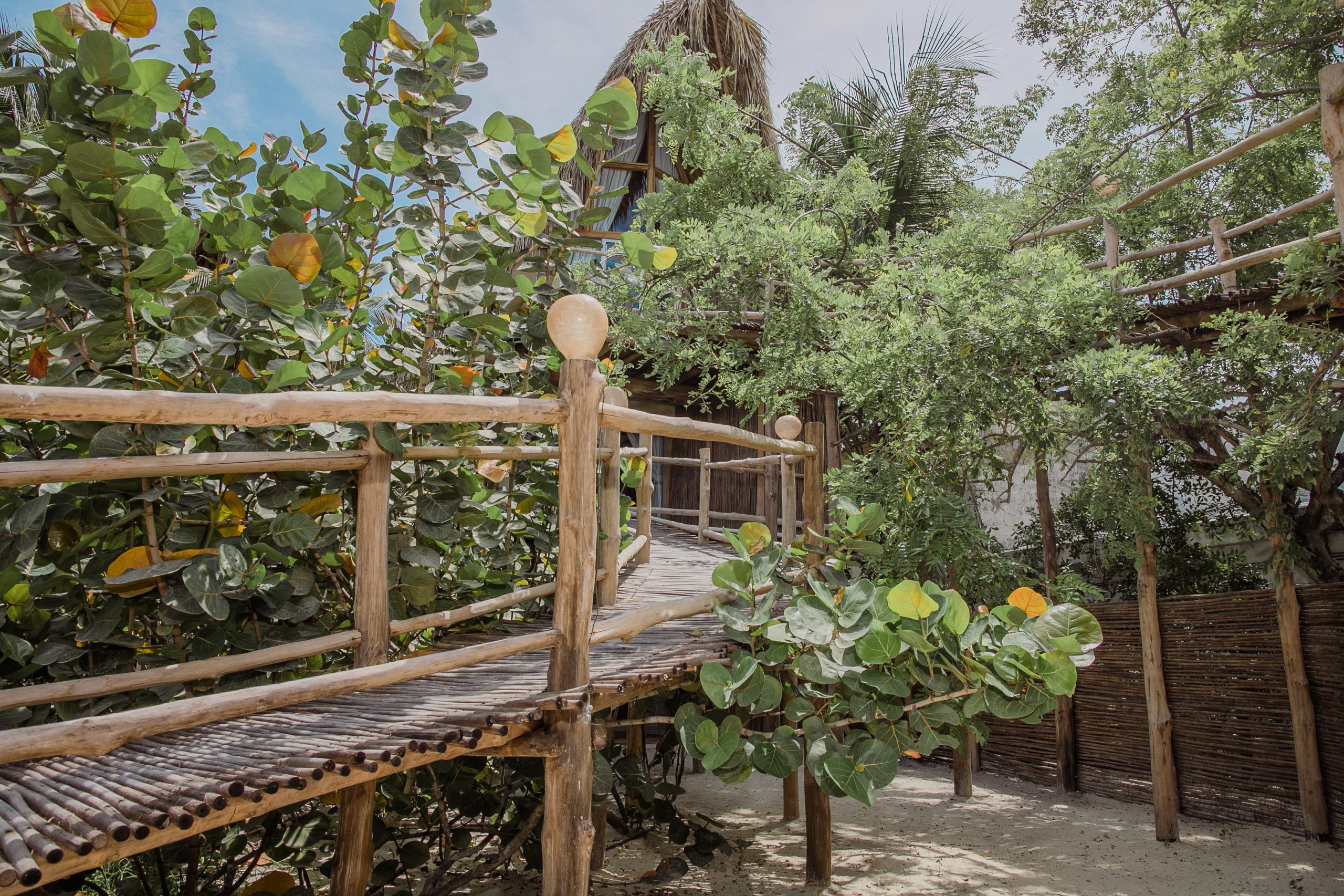 DAY PASS ETEKA LIGHT - Imagen 17