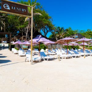 Full Day Luxury Classic