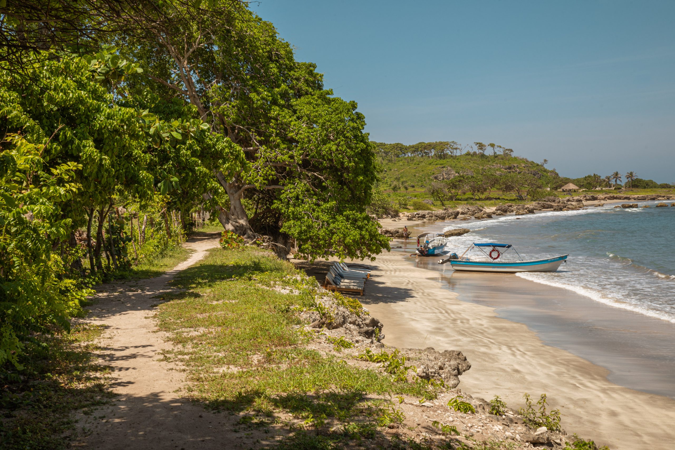 Full Day Marlin - Imagen 6