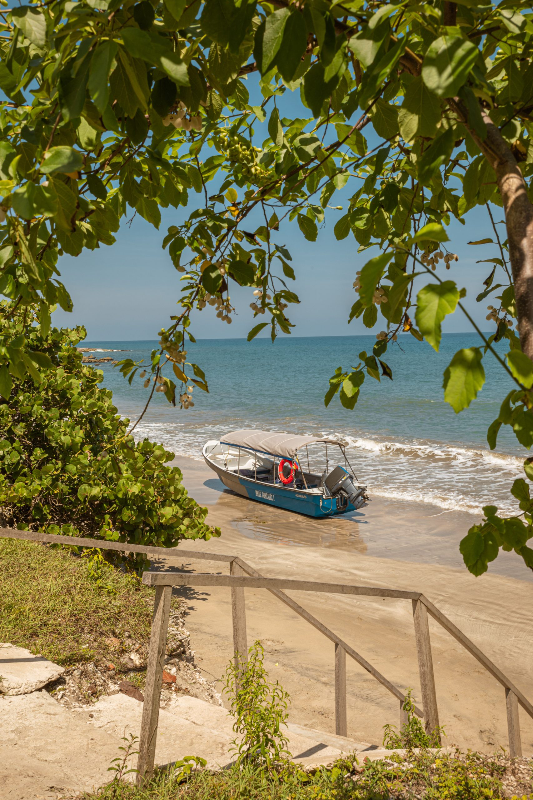 Full Day Marlin - Imagen 4