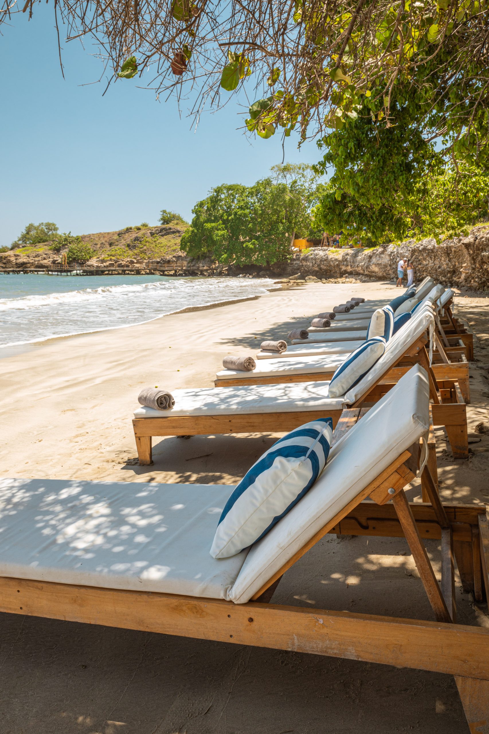 Full Day Marlin - Imagen 8