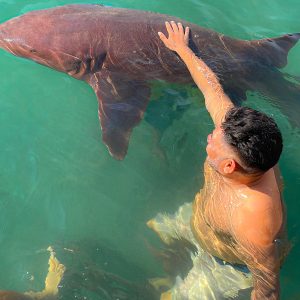 Tinti Pan - Islote de Santa Cruz Mucura